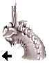 d11